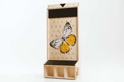 ChoiceBox, Dizains Nr.7
